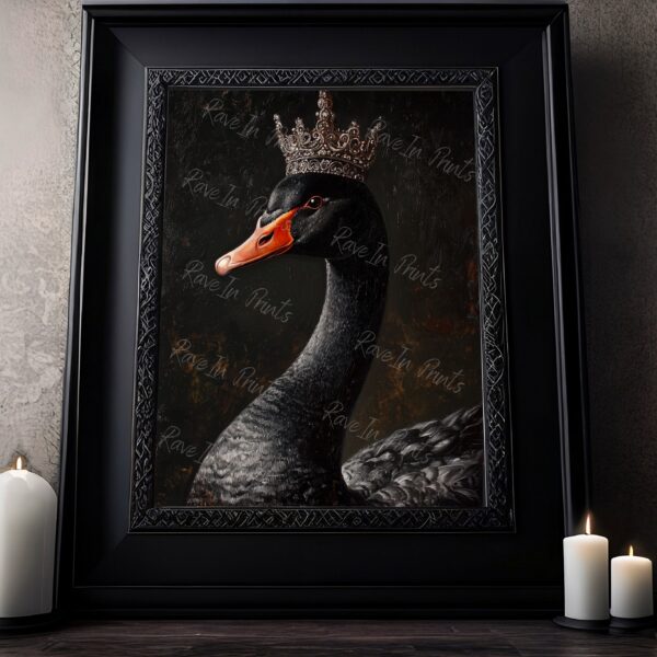 black swan painting print